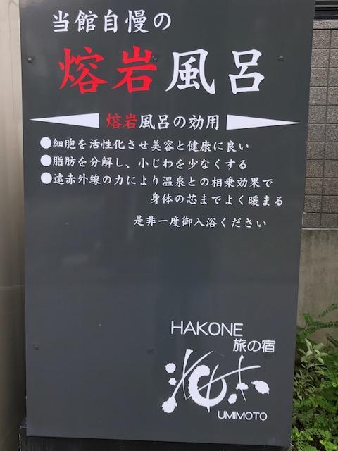 Umimoto Otel Hakone Dış mekan fotoğraf