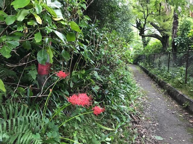 Umimoto Otel Hakone Dış mekan fotoğraf