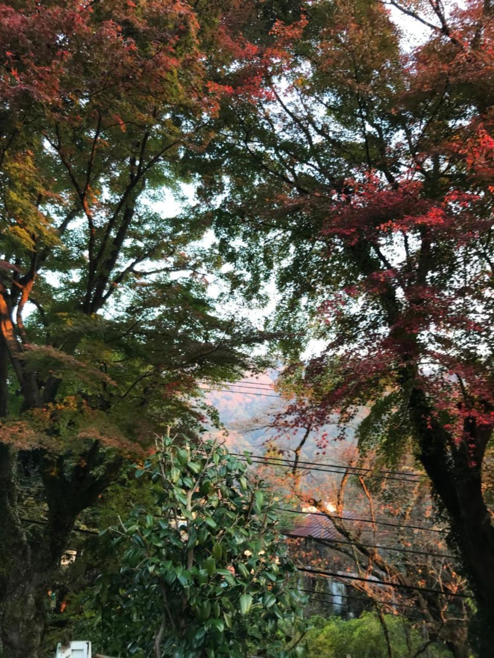 Umimoto Otel Hakone Dış mekan fotoğraf